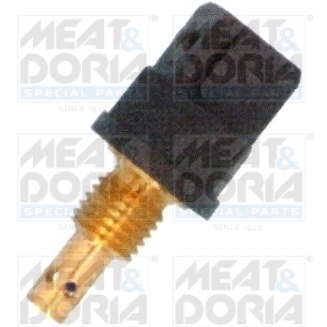 Sensor, intake air temperature